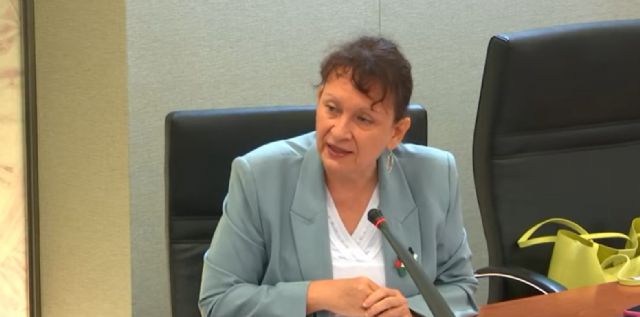 María Marín, sobre la nueva norma de Simplificación Administrativa: Así se hacen las leyes en esta Región, al servicio de la patronal - 1, Foto 1