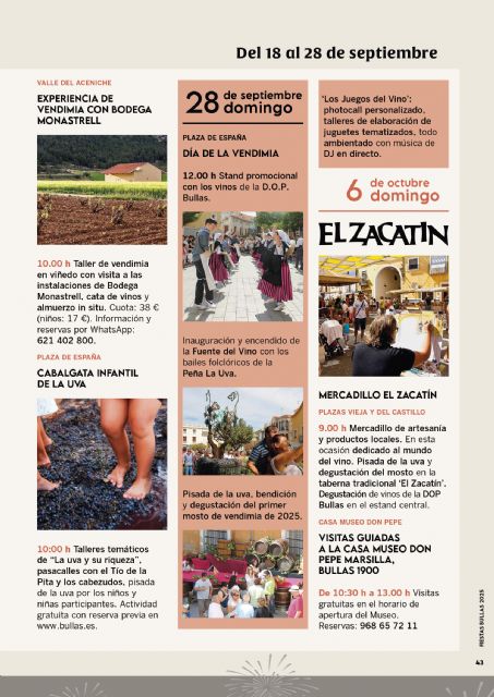 Presentadas las Fiestas del Vino 2025 en Bullas: tradición, cultura y enoturismo del 18 de septiembre al 5 de octubre - 5, Foto 5