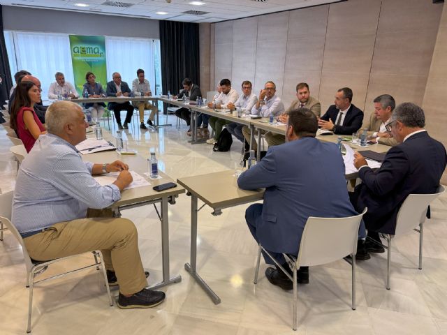 El consejero Juan María Vázquez presenta a AEMA-RM los avances del Plan de Mejora Interna y Transformación Digital de la Región de Murcia 2026-35 - 2, Foto 2