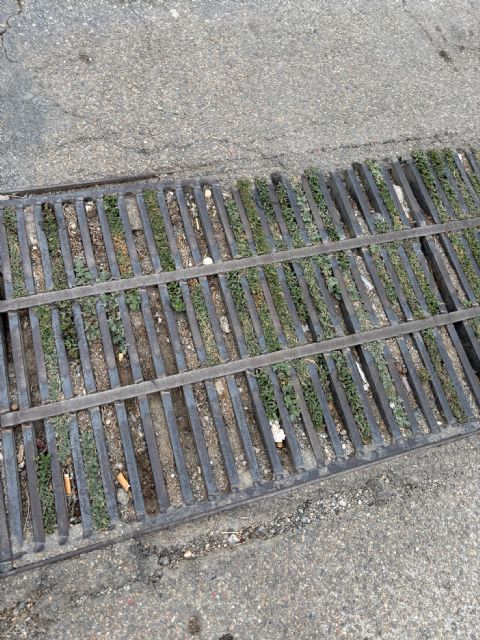 El PSOE urge al equipo de Gobierno de PP y VOX de Puerto Lumbreras a que lleven a cabo una limpieza urgente de los imbornales - 1, Foto 1