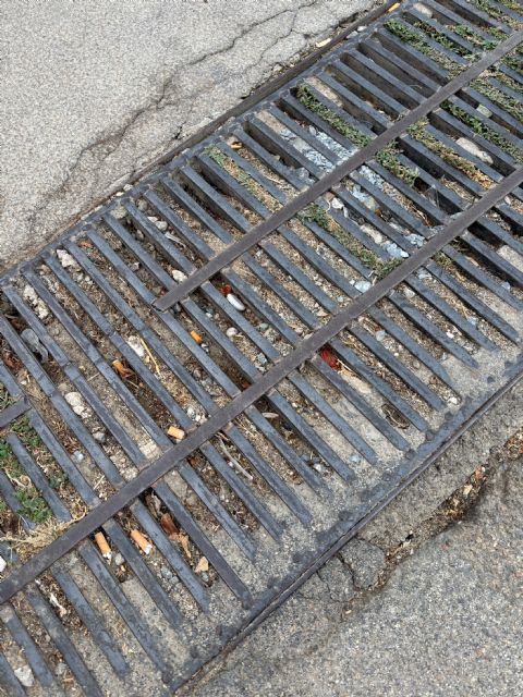 El PSOE urge al equipo de Gobierno de PP y VOX de Puerto Lumbreras a que lleven a cabo una limpieza urgente de los imbornales - 2, Foto 2