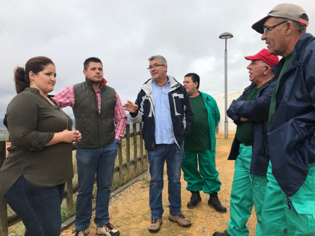 9 trabajadores mejoran las zonas verdes del mirador del depósito de La Paca gracias al Programa de Fomento del Empleo Agrario puesto en marcha por el Ayuntamiento - 3, Foto 3