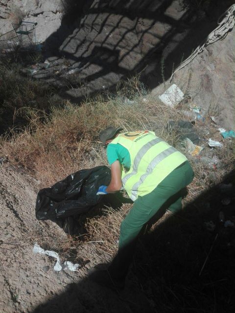 Concluyen los trabajos de limpieza de la Vía Verde del Embarcadero del Hornillo - 1, Foto 1