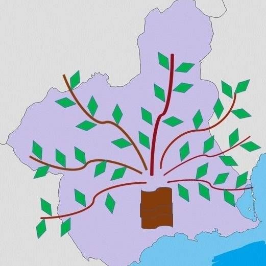 REDERMUR solicita oficialmente su integración en la mesa regional de la despoblación - 1, Foto 1