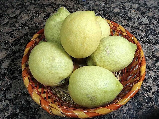 El limón abre una nueva era para divulgar sus virtudes con la histórica campaña europea Welcome to the Lemon Age - 1, Foto 1