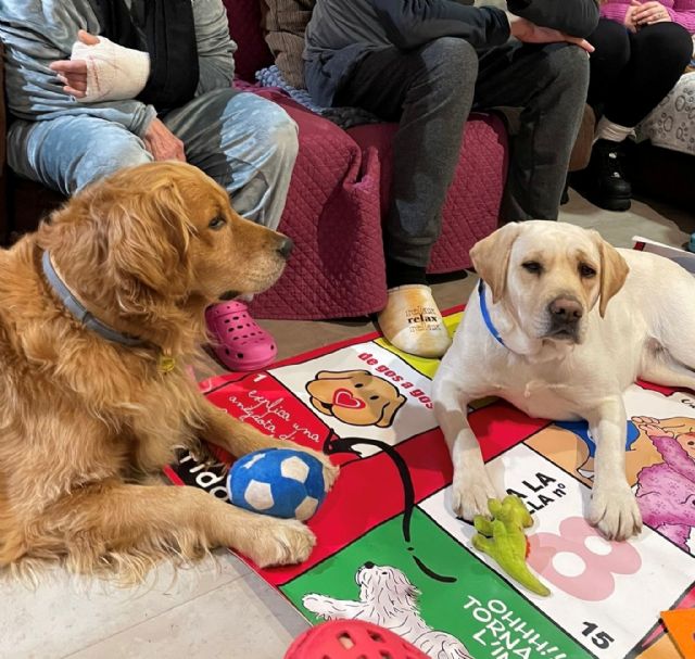 El impacto del vínculo humano-animal: Cómo los perros de terapia están transformando la salud mental en los hospitales españoles - 1, Foto 1