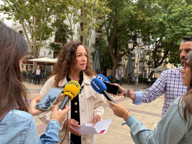 El caos sanitario por falta de camas en el Rafael Méndez demuestra que Lorca necesita ya un segundo hospital - 1, Foto 1