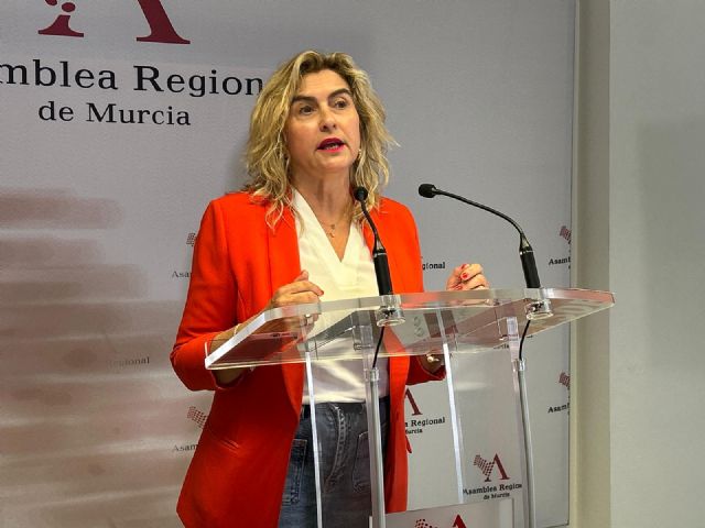 Carmina Fernández: “Hoy ha vuelto a quedar claro que en la Asamblea Regional solo se aceleran los plazos cuando le interesa al PP” - 1, Foto 1