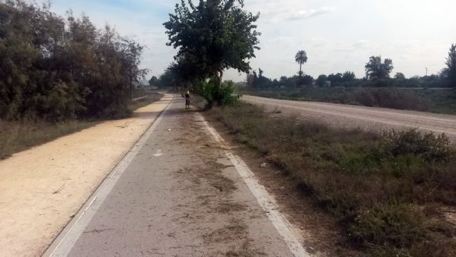 Comienza la limpieza y desbroce del carril bici que une la Contraparada con Beniel - 1, Foto 1