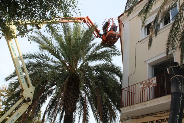 En marcha las obras del Centro Social El Alpicoz - 2, Foto 2