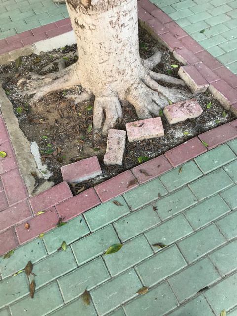 Cambiemos Murcia acusa a Cs y PP de presentar la iniciativa sobre libros de texto en un centro educativo que tienen abandonado - 1, Foto 1