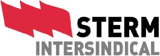 STERM Intersindical RECHAZA la oferta de empleo público que consolida recortes y no ofrece estabilidad - 1, Foto 1