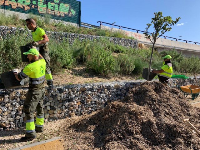 Obtienen más de 100.000 kilos de mulching de las cañas extraídas del río tras la DANA - 1, Foto 1