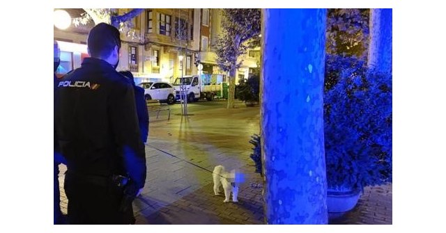 El Ayuntamiento informa de que la Comunidad prorroga durante 14 días el toque de queda y el confinamiento de la Región y sus municipios - 1, Foto 1