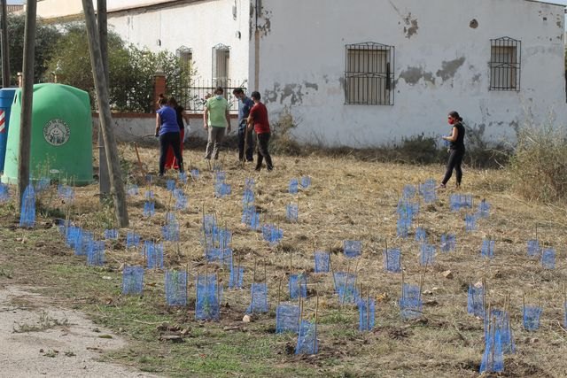 Voluntarios plantan un pequeño jardín para polinizadores que rinda homenaje a los antepasados en La Magdalena, Cartagena - 2, Foto 2