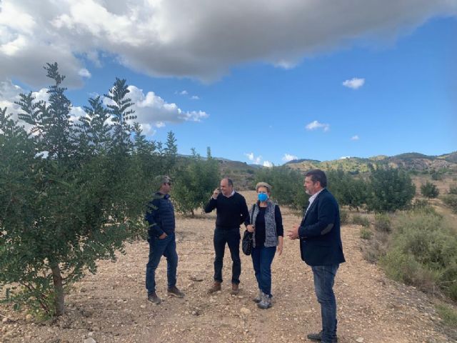 Cuatro fincas de la Región adaptan la agricultura de secano al cambio climático - 1, Foto 1