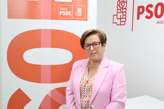 Gallego: No se puede responsabilizar al Equipo de Gobierno de no subsanar en el CAI Teresa Rabal unas deficiencias que el Gobierno Regional aún no ha comunicado al Ayuntamiento - 1, Foto 1