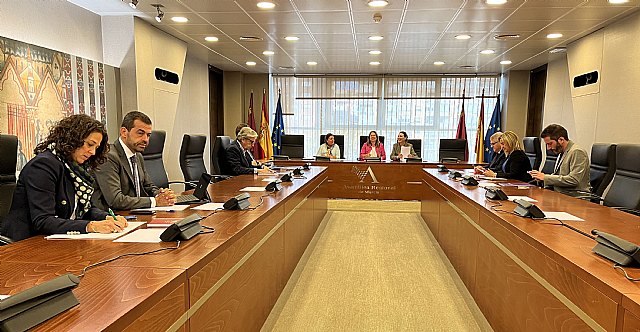 La Comisión Permanente para las Personas con la Discapacidad se constituirá el próximo martes - 1, Foto 1