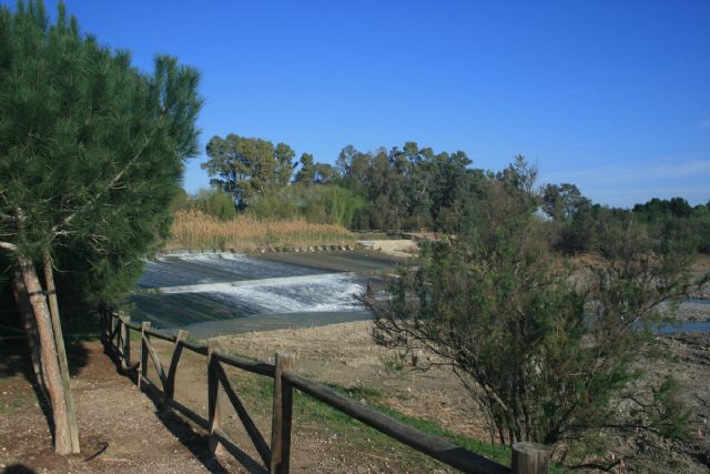 El Ayuntamiento destina más de 190.000&euro; para transformar la Contraparada en un espacio natural más accesible y eficiente - 2, Foto 2