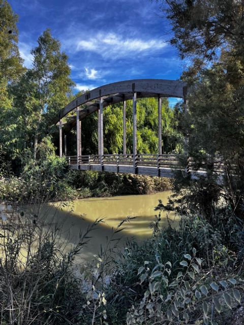 El Ayuntamiento destina más de 190.000&euro; para transformar la Contraparada en un espacio natural más accesible y eficiente - 3, Foto 3