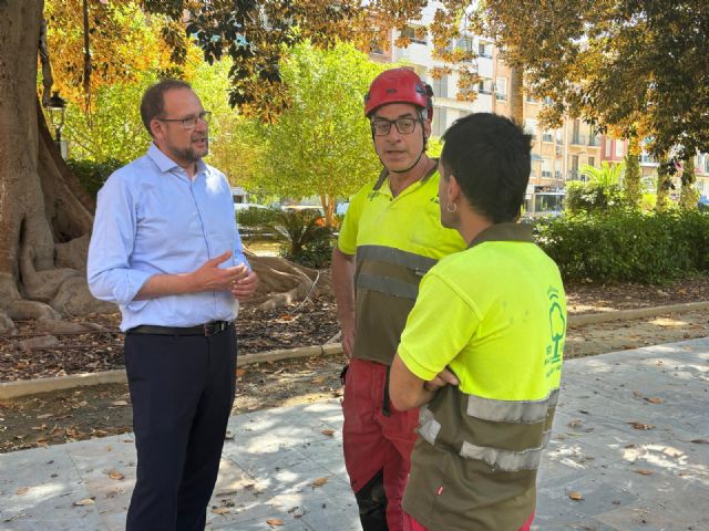 Los ficus del Jardín de Floridablanca reciben la revisión integral periódica que permite garantizar su salud y seguridad - 2, Foto 2