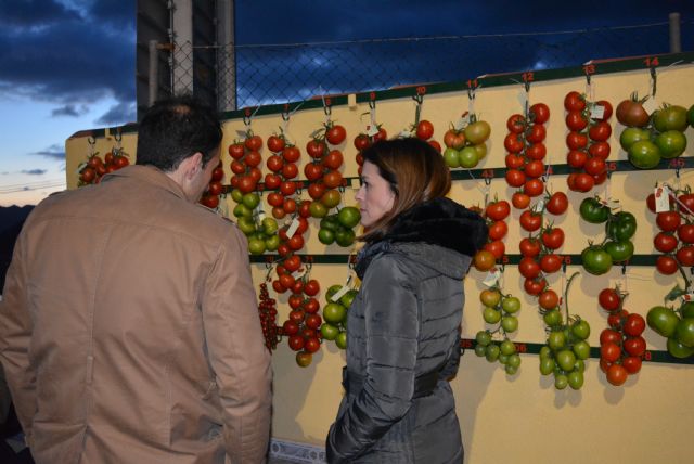 Miguel Lorenzo Robles y Miguel Muñoz Muñoz, ganadores del XXIII concurso de ramillete - 1, Foto 1