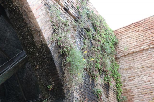 Huermur denuncia el mal estado de conservación de la rueda de La Ñora - 1, Foto 1