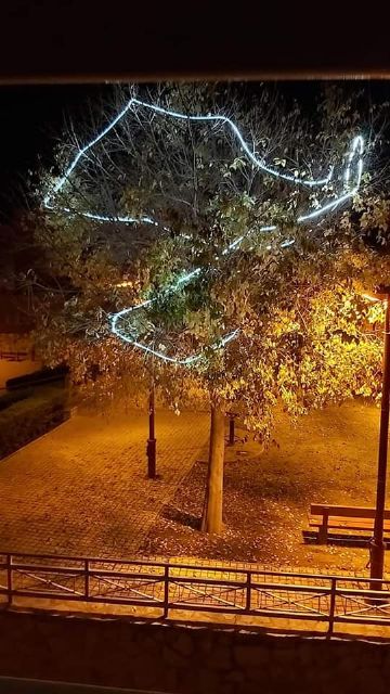 El PP exige al actual alcalde que rectifique la paupérrima iluminación navideña ante el clamor social - 2, Foto 2