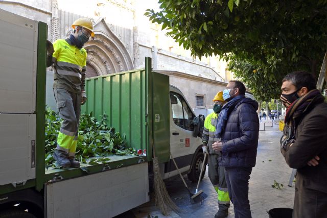 El Ayuntamiento poda 15.000 naranjos, patrimonio de Murcia - 1, Foto 1