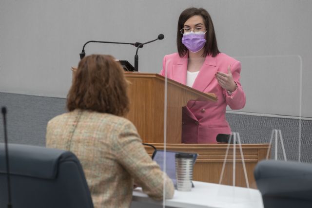El PSOE consigue aprobar en la Asamblea una iniciativa para desarrollar un plan de inspecciones y un nuevo modelo de residencias de mayores - 1, Foto 1