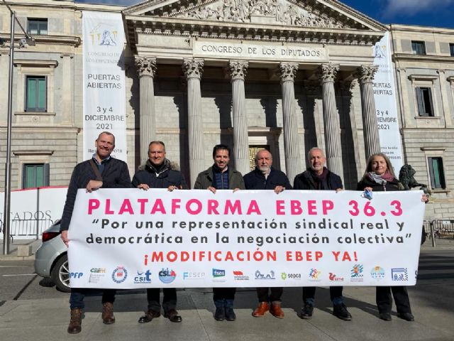 La Plataforma EBEP 36.3 advierte al PP en el Congreso del déficit de representación sindical democrática en las Administraciones - 1, Foto 1