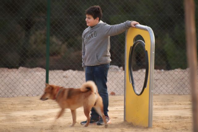 Calasparra cuenta con un nuevo parque canino en la localidad - 2, Foto 2