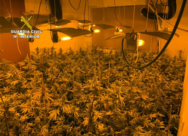 Una alarma de robo descubre un invernadero con más de 500 plantas de marihuana en Los Urrutias - 3, Foto 3