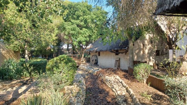 El Ayuntamiento acondiciona las zonas verdes y el lago donde se ubicará el tradicional Belén viviente de El Raal - 2, Foto 2
