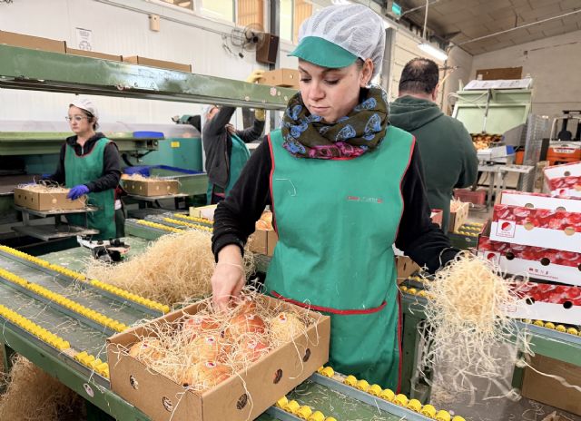 Las cajas de granadas de Elche viajan a una docena de países y más de 20 provincias españolas por Navidad - 1, Foto 1