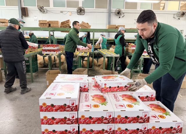 Las cajas de granadas de Elche viajan a una docena de países y más de 20 provincias españolas por Navidad - 2, Foto 2