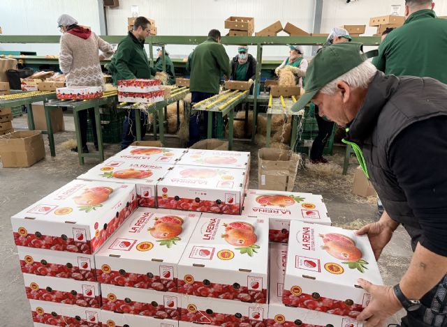 Las cajas de granadas de Elche viajan a una docena de países y más de 20 provincias españolas por Navidad - 3, Foto 3