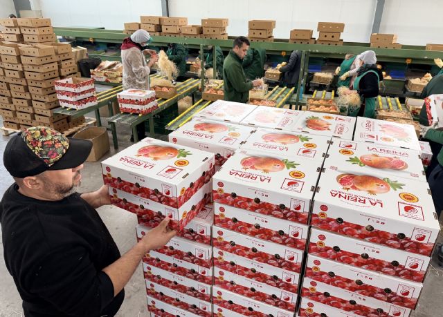 Las cajas de granadas de Elche viajan a una docena de países y más de 20 provincias españolas por Navidad - 4, Foto 4