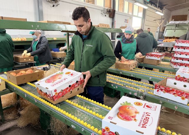 Las cajas de granadas de Elche viajan a una docena de países y más de 20 provincias españolas por Navidad - 5, Foto 5