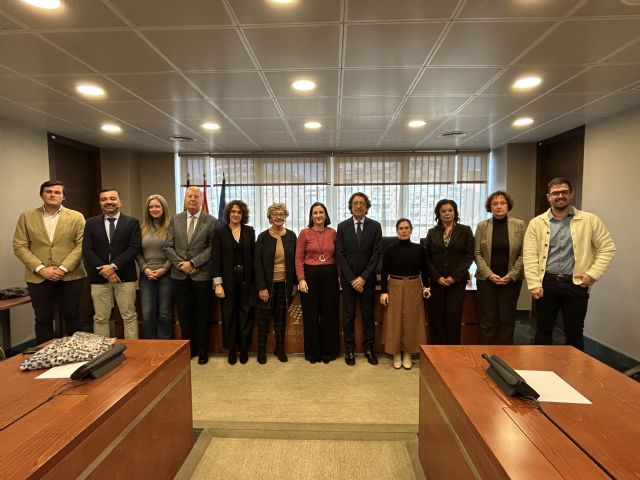 Red Madre comparece ante la Comisión Especial de Estudio sobre Infancia y Adolescencia - 2, Foto 2