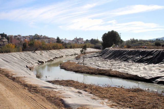 La CHS continúa los trabajos de recuperación del bosque de ribera - 1, Foto 1