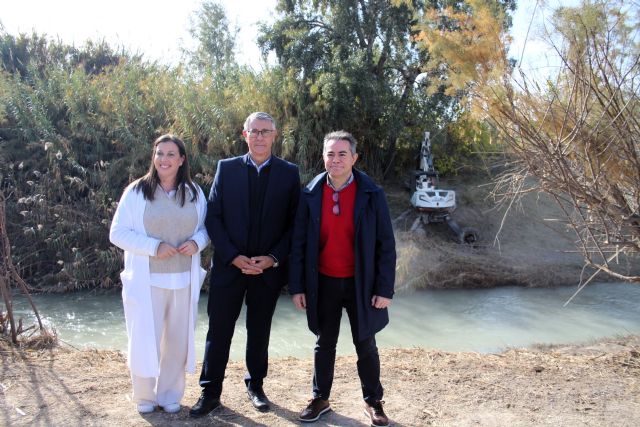 La CHS continúa los trabajos de recuperación del bosque de ribera - 2, Foto 2