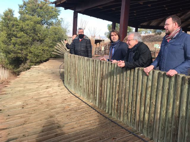 Los primeros osos pardos nacidos en Murcia cumplen 20 años - 2, Foto 2