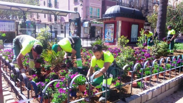 La Mesa de Contratacion analiza las 18 ofertas presentadas al contrato de conservacion de jardines - 1, Foto 1