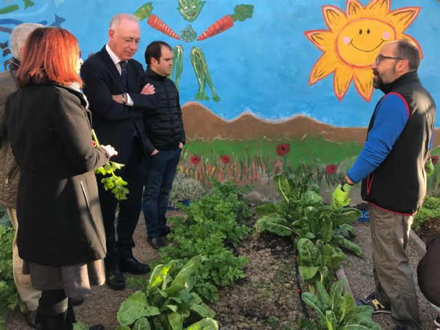 Alumnos del CEIP La Arboleda en Santiago y Zaraiche recogen la cosecha de su huerto escolar - 3, Foto 3