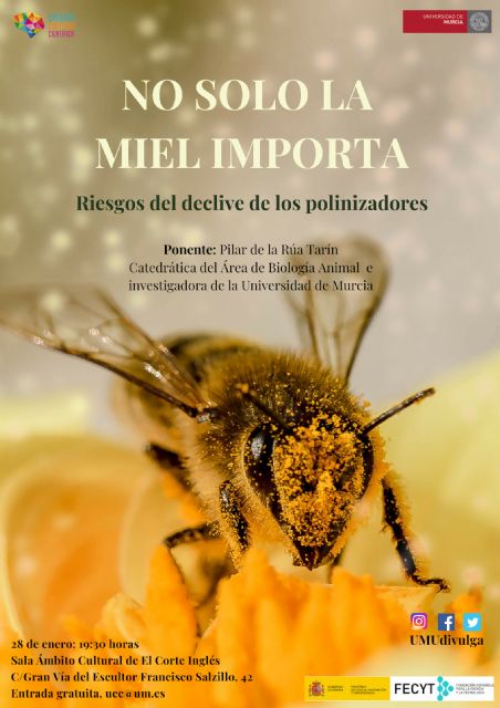 ‘No solo la miel importa: riesgos del declive de los polinizadores’ - 1, Foto 1