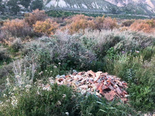 El PP denuncia que la pasividad del actual alcalde y de la CHS está convirtiendo el lecho del Guadalentín en el Río Basura - 4, Foto 4