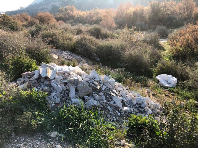 El PP denuncia que la pasividad del actual alcalde y de la CHS está convirtiendo el lecho del Guadalentín en el Río Basura - 5, Foto 5