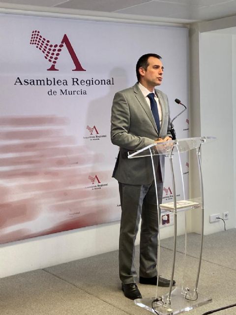 VOX pide la dimisión de la vicepresidenta Isabel Franco por su incapacidad para gestionar un equipo de gobierno - 1, Foto 1