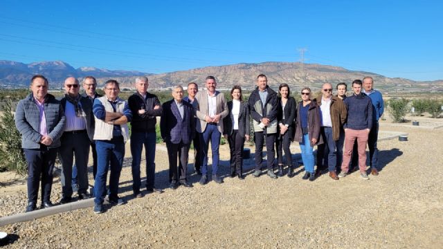 Cefusa impulsa los humedales artificiales como reductores de emisiones de amoniaco, Foto 1